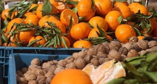 Zutaten für den persischen Orangensalat
